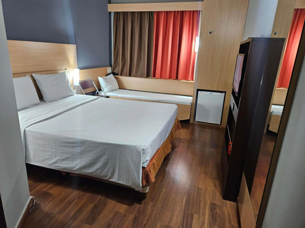 Ibis Mossoro