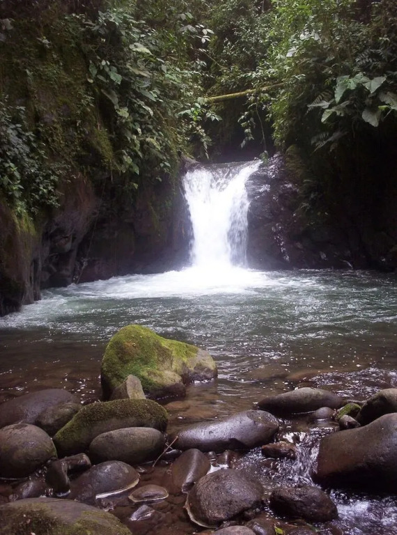 Santa Lucia Ecolodge