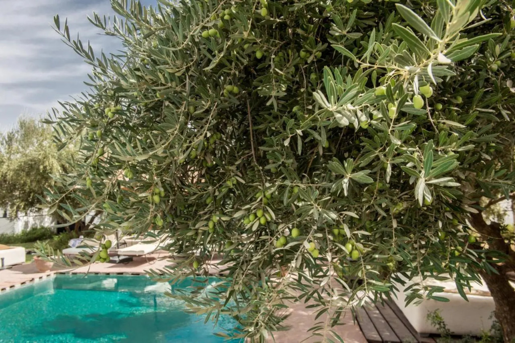 Hotel & Spa La Ferme El Dar