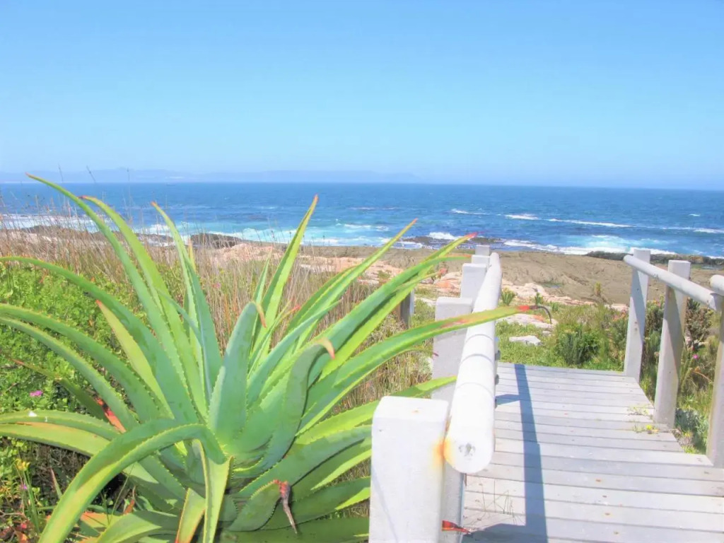 Whale View Guest House