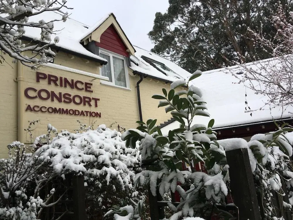 The Prince Consort