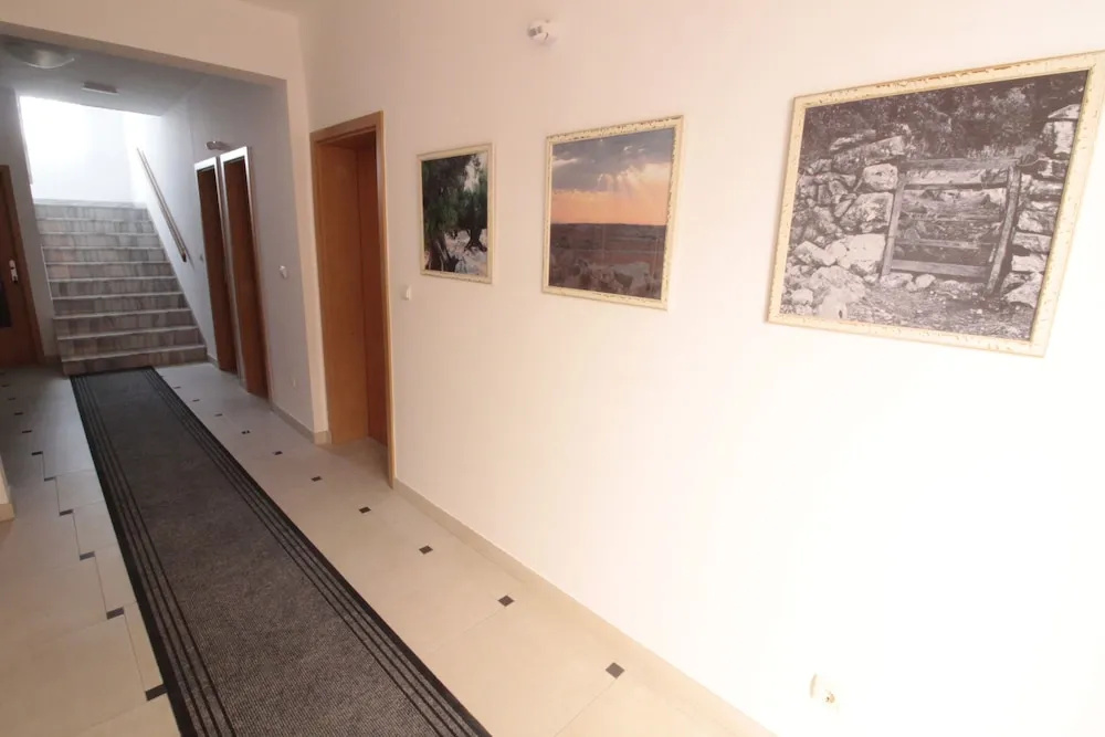 Studios & Rooms Fiesta