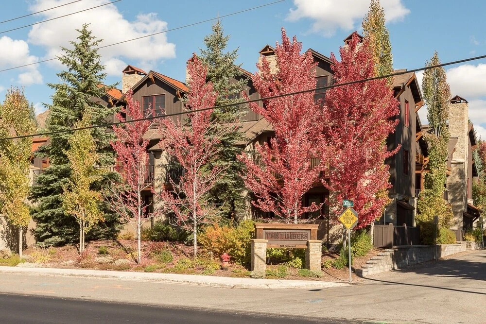 The Timbers #4N-1 - 1 Br Condo