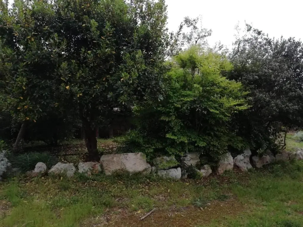 Giardini Irlandesi B&B