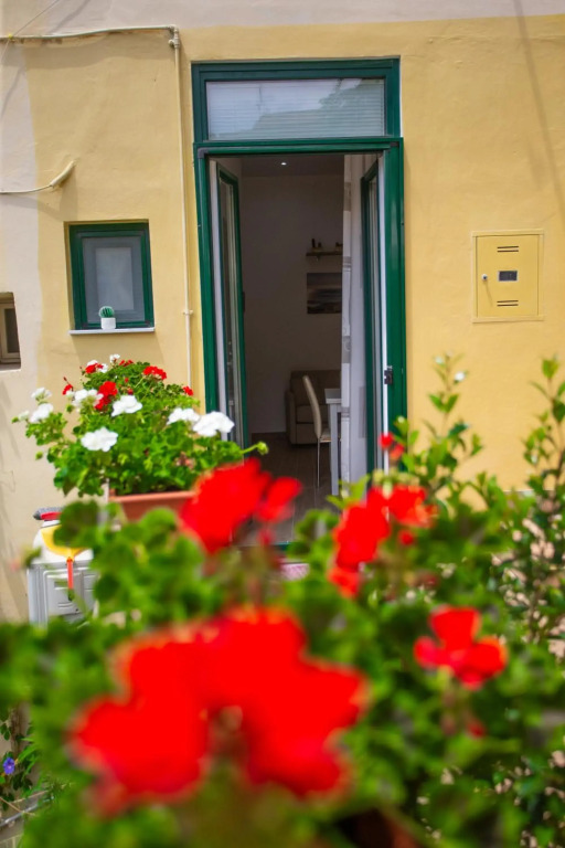 Suite Avenia