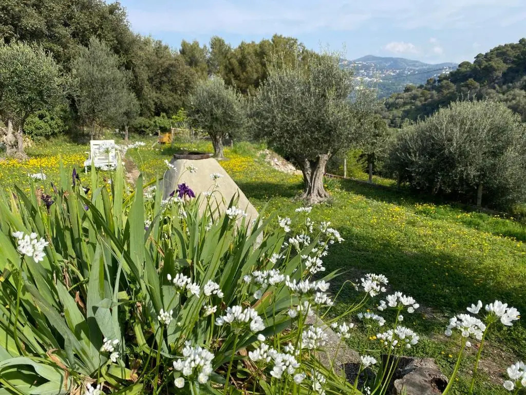 BREATHE - Unique Guest House : City center and nature