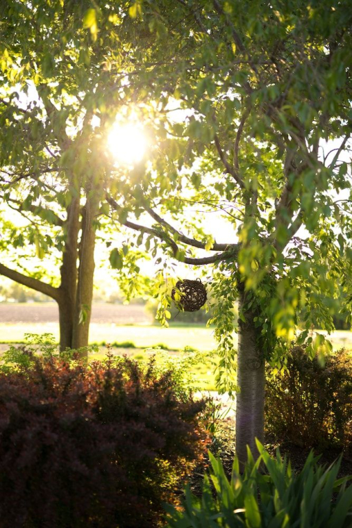 Yale Manor B&B & Yurt Glamping