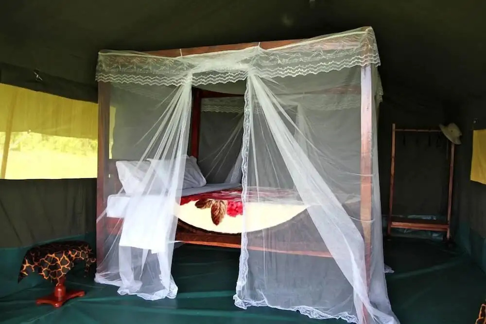 Fisi Camp