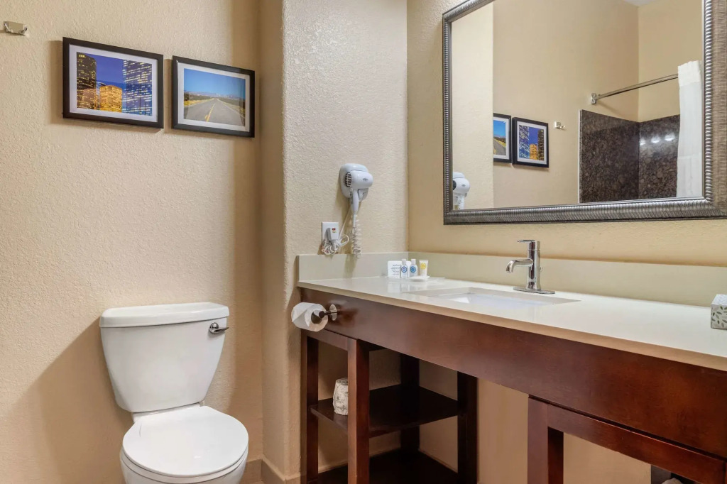 Comfort Suites Baytown I - 10