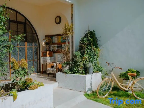 Forest Guesthouse