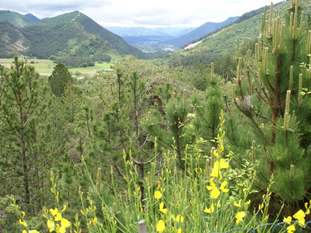 Mountain View Retreat, Diois