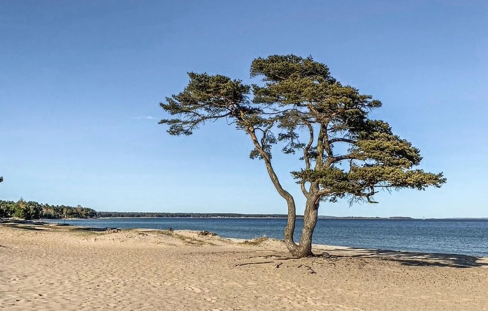 Amazing Home in Åhus With Wifi and 2 Bedrooms