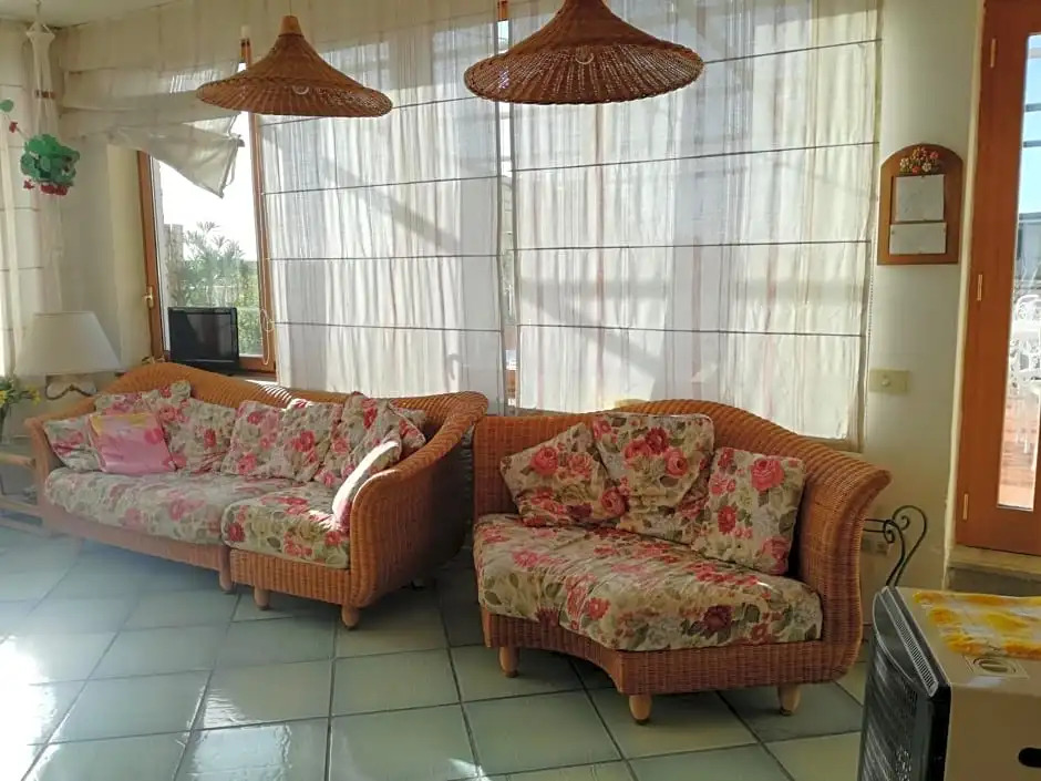 B&B Ap