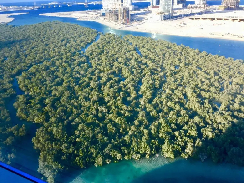 Residential Apartment with Fabulous Sea & Mangrove View - Al Reem Island - Not Hotel 1106