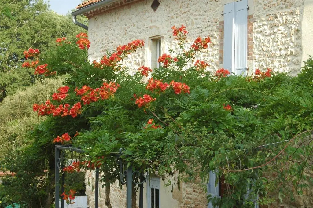 Domaine De Cimélia