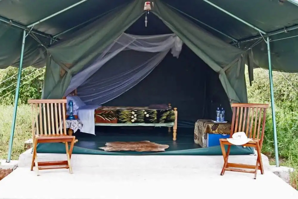 Fisi Camp