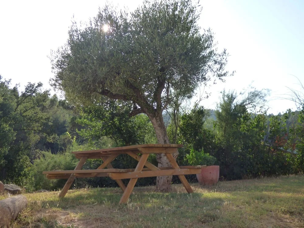 Luxurious Cottage in Sant Salvador de Guardiola