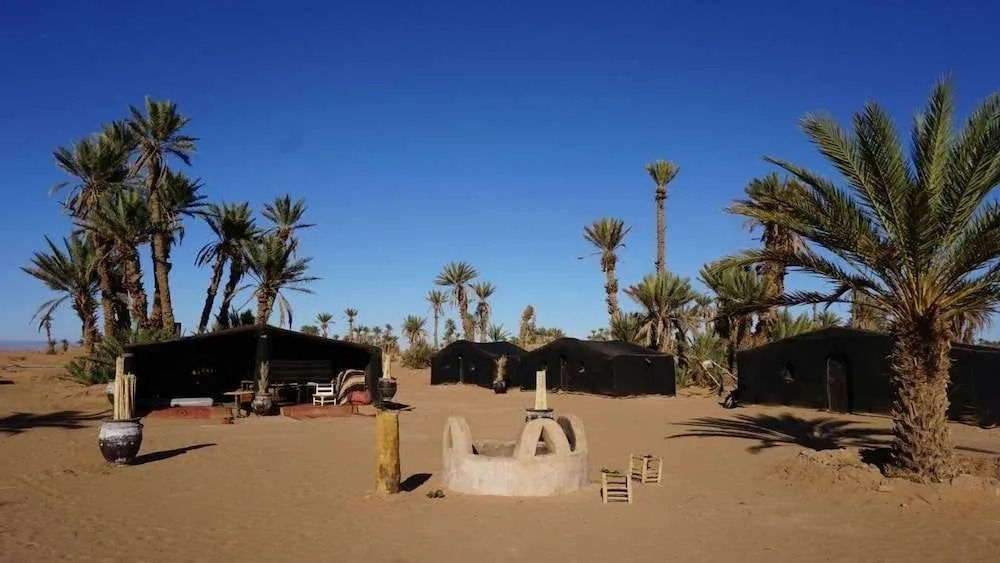 Camp Sahara Nights