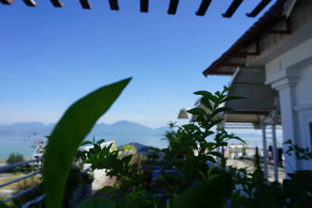 Lychee Hotel