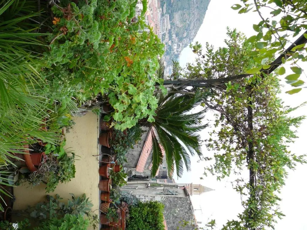 La Terrazza dei Pelargoni B&B