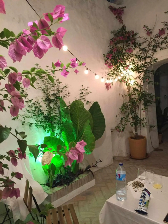 The Traveller`s house AntiQua centro de Vejer con wifi