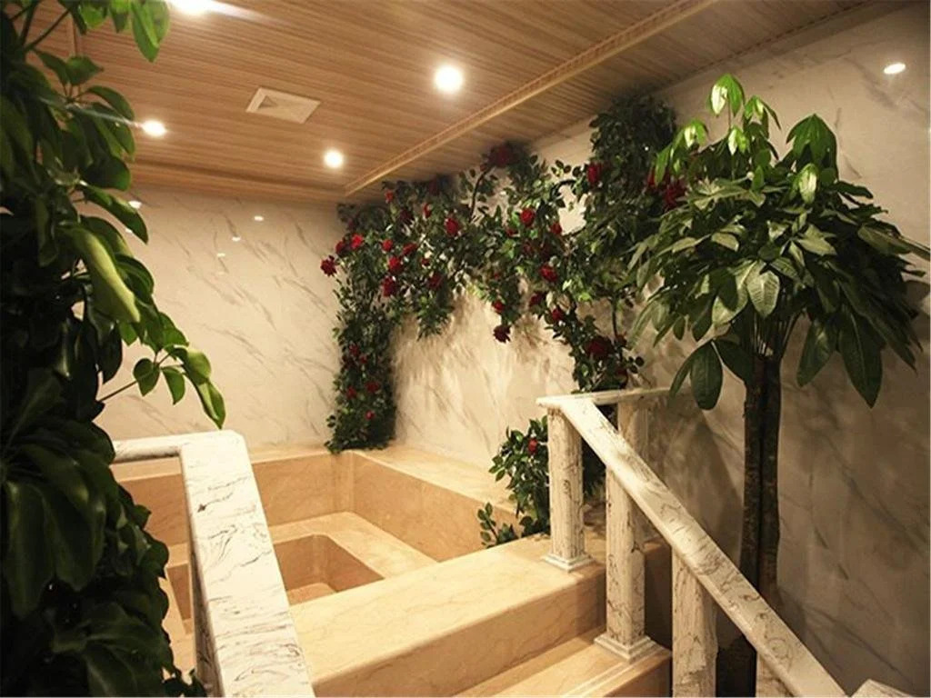The Odeon Hotel Americano