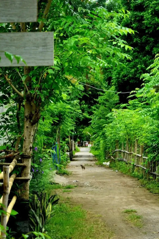 OYO 1662 Zury Homestay