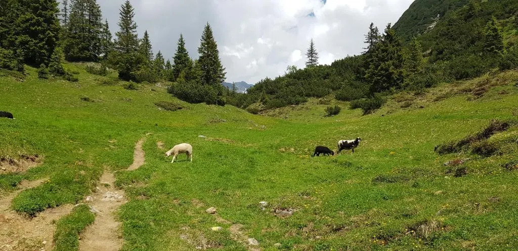 Residenz Tirol