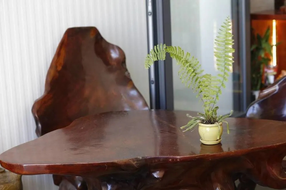 Sandy Home