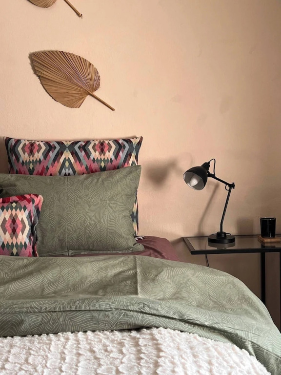 Mosquito Guest House 2