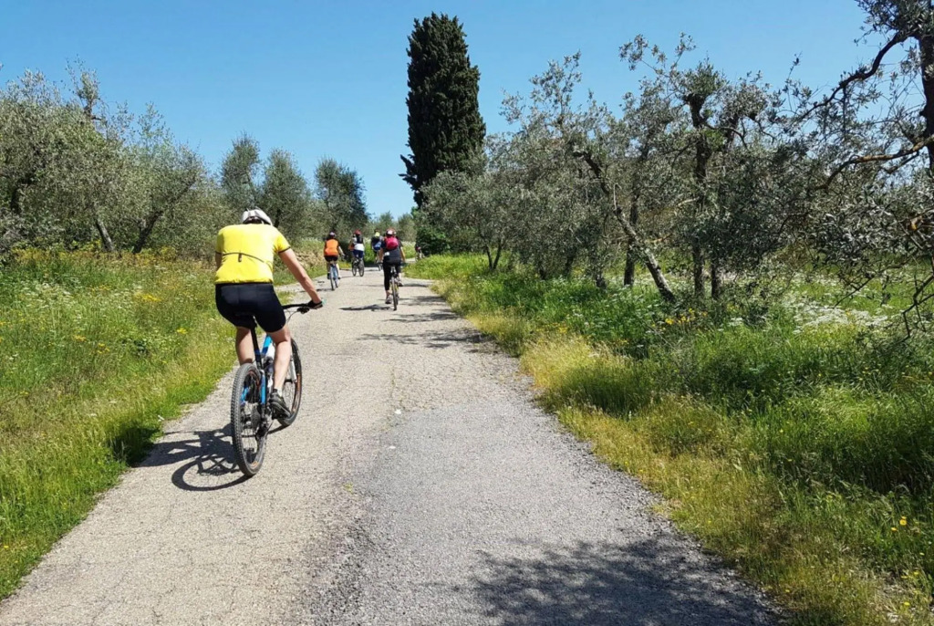 Luxury Villa 30 minutes driving from Florence-VILLA RINALDI