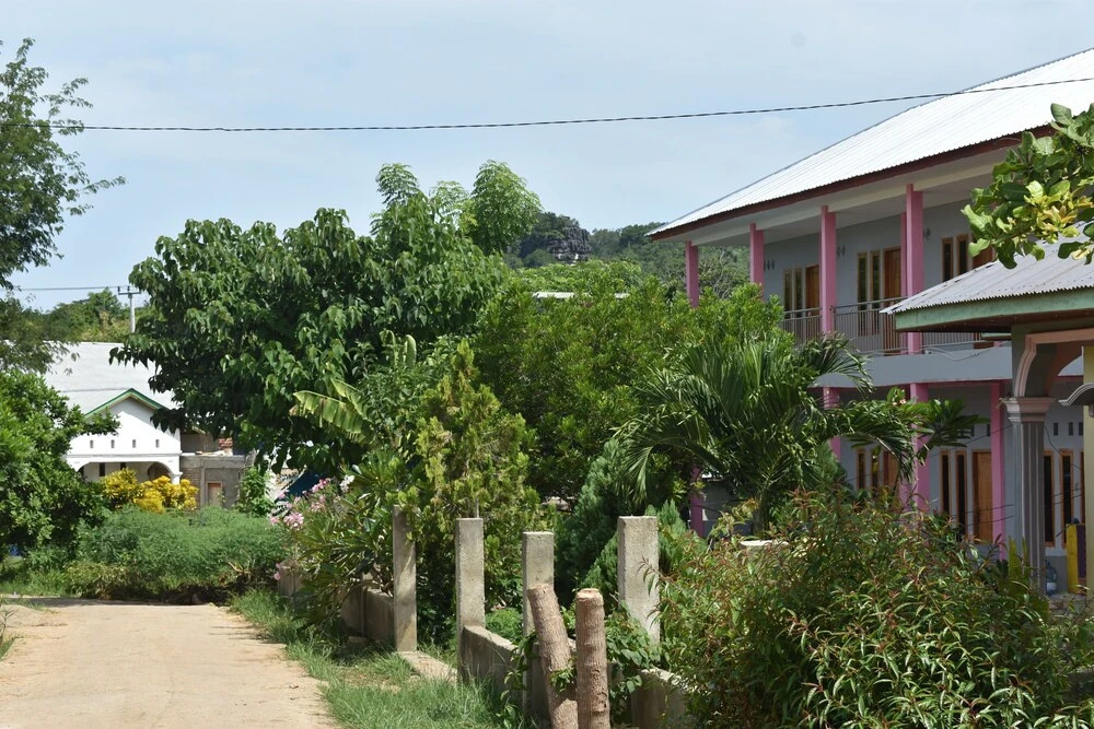 Pinki Mente Hotel
