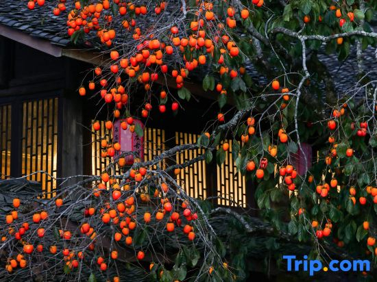 Kasion Puju Guesthouse