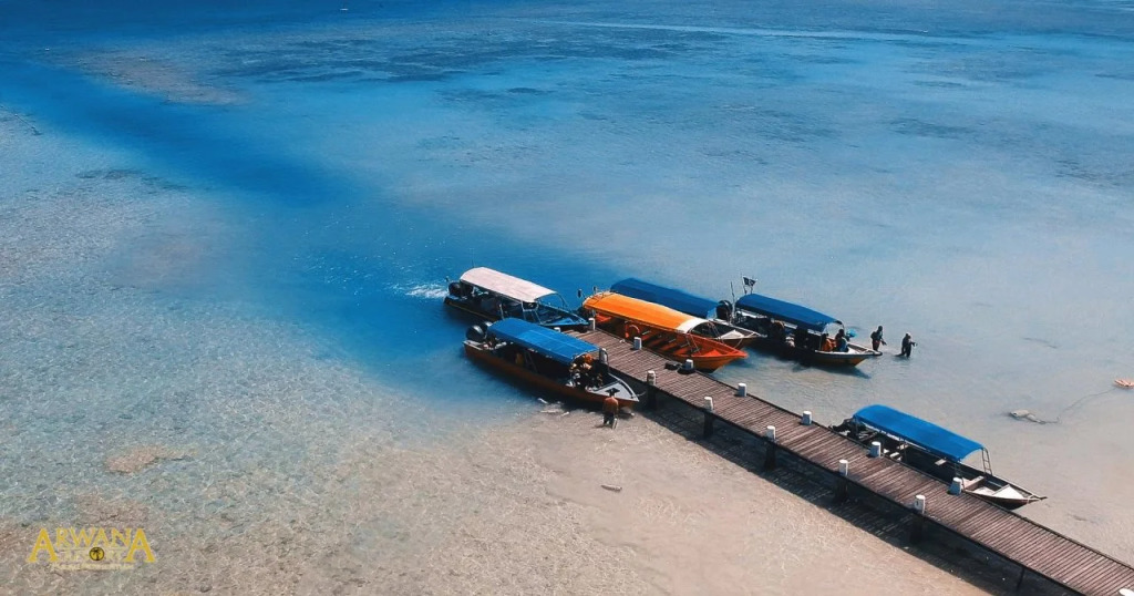 Arwana Perhentian - Pulau Perhentian