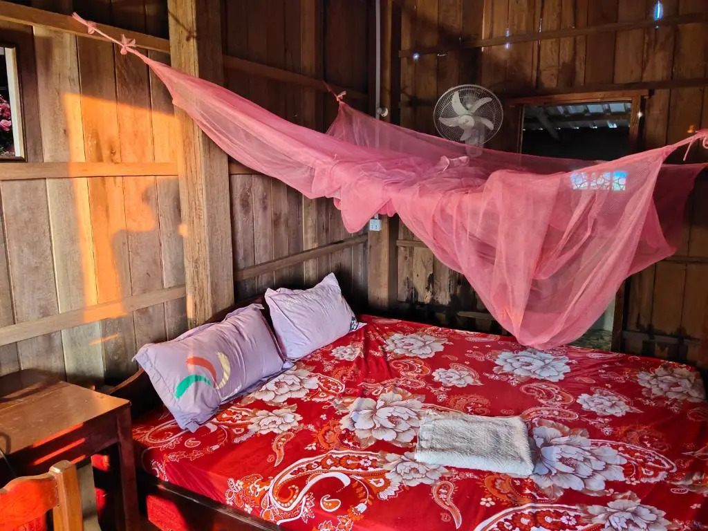 Tree Trails Homestay & Offers Jungle Trekk-Scooter For Rental