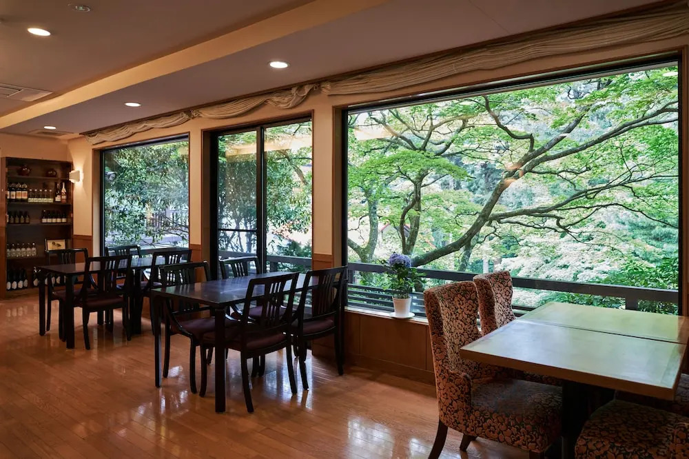 Отель Ajisai Onsen Ryokan