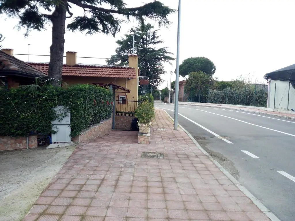Green Garden