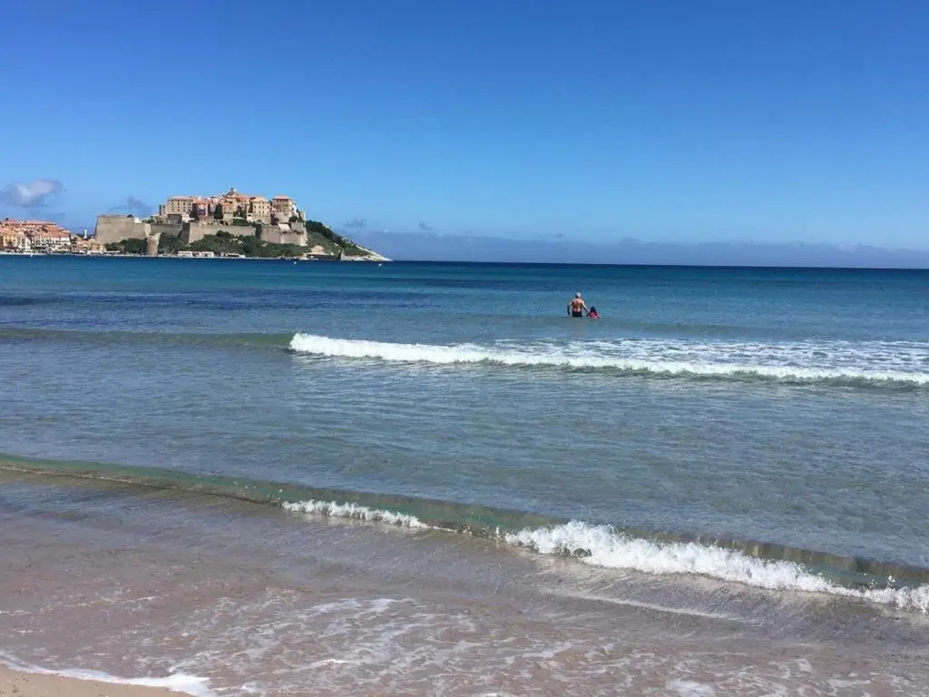 T2 neuf bord de plage - terrasse - CALVI