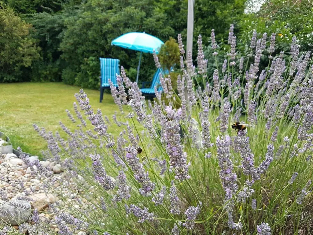 Liegeplatz No 44 - Hemmoor zwischen Kreidesee & Ostedeich