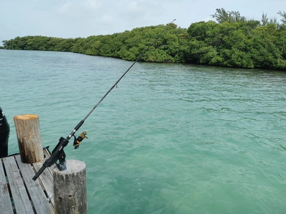 Therapy Cabins - Belize Island Experience