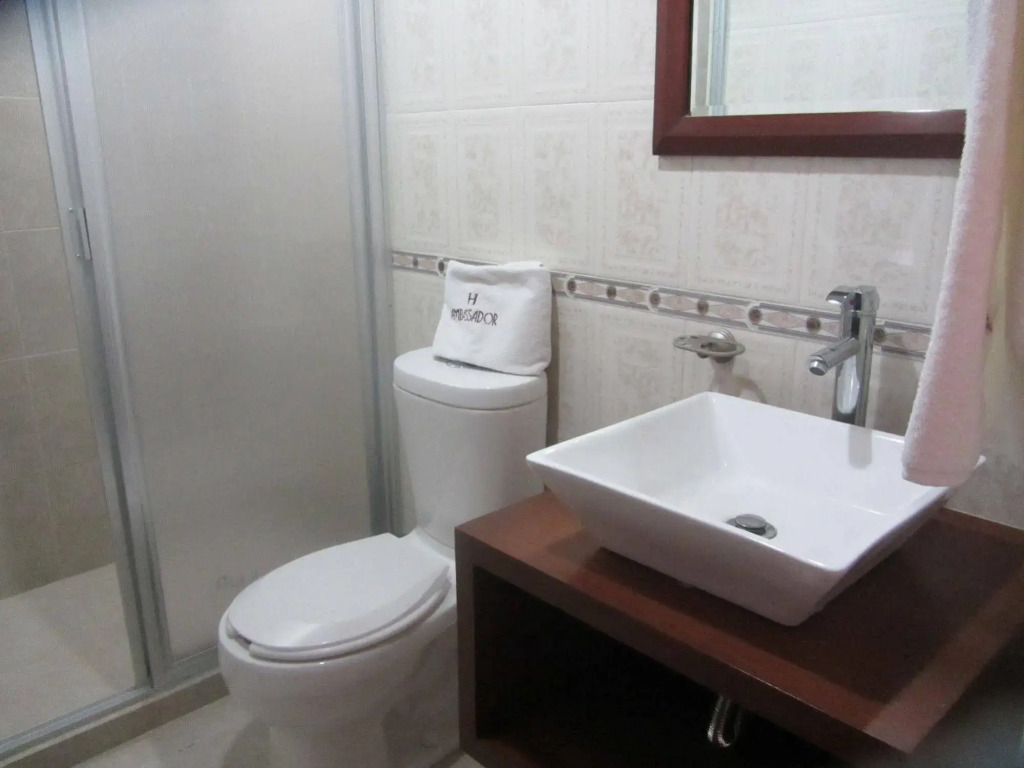 Ambassador Hotel Ciudad de México