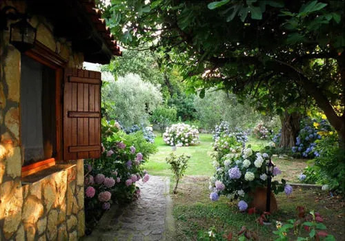 Alekas Studios