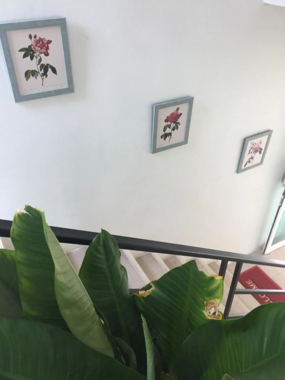 TEAK VILLA