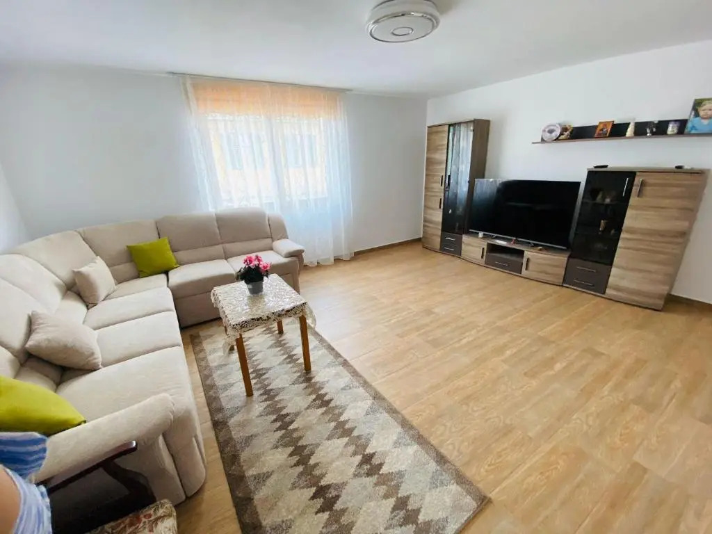 Andrei's house