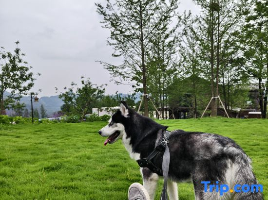 Trip.com Group Country Retreats (Zhang Jiajie Manson Joint Resort）