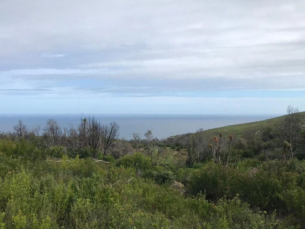 Trinity Farm Ocean view Cottage