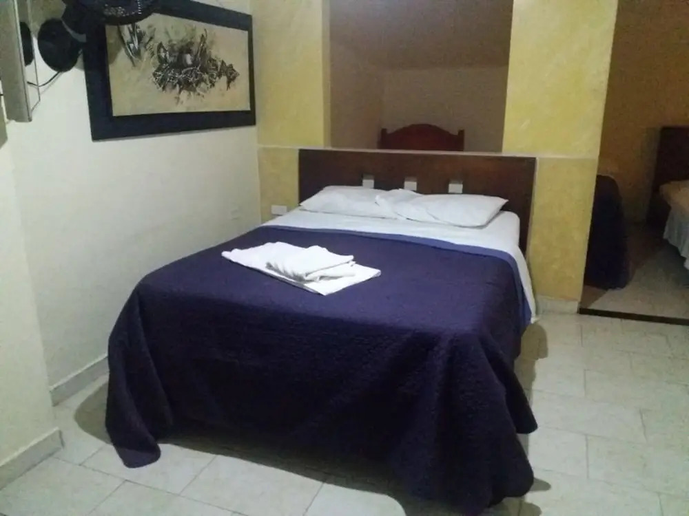 Hotel Guarigua Plaza