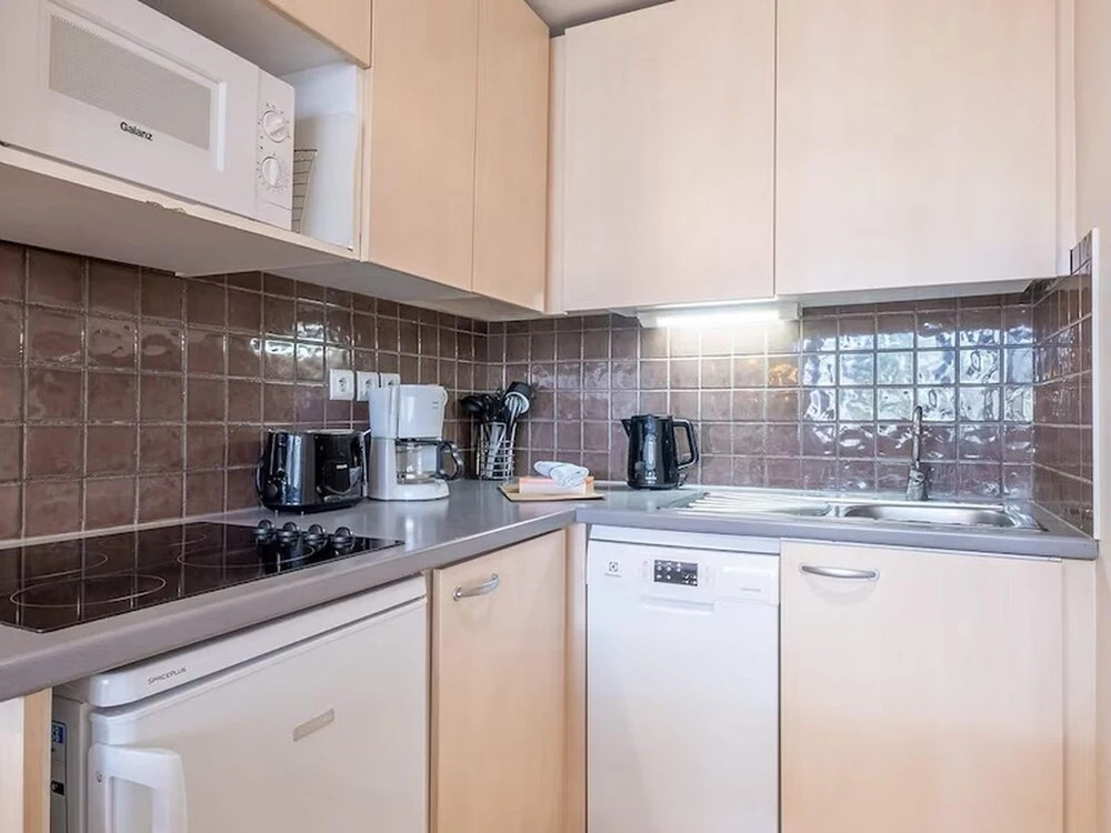 1 BR Apartment in Flaine