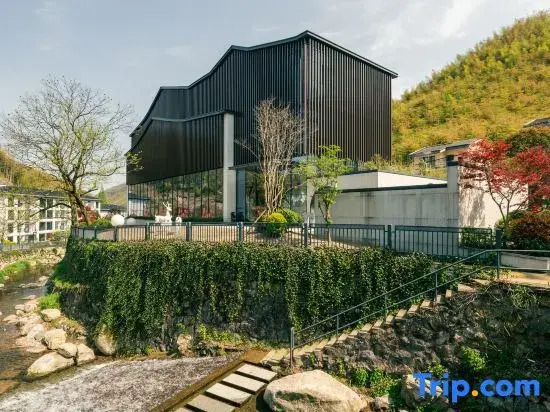 Yunman 16 (Anji Yunshang Grassland Panda Tribe Adventure Park)