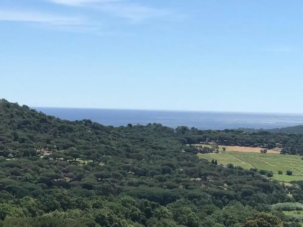 La Villa dAndrea